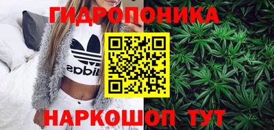 стаф Новодвинск