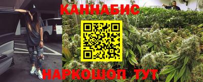 стаф Новодвинск
