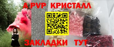 стаф Новодвинск
