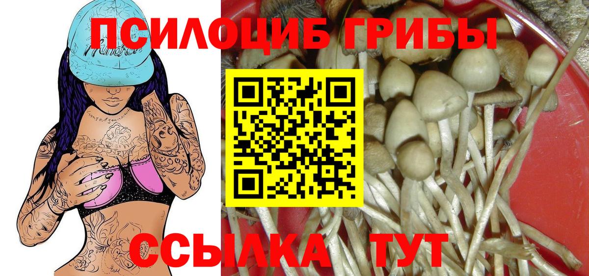 где найти   Галлюциногенные грибы прущие грибы  Соликамск  Вход с VPN  Галлюциногенные грибы Psilocybine cubensis 